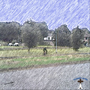 Cyclist Bray Road.
