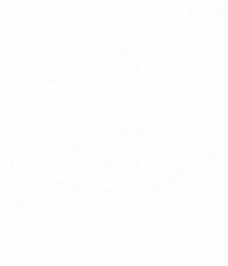 Animated gif of three random churches