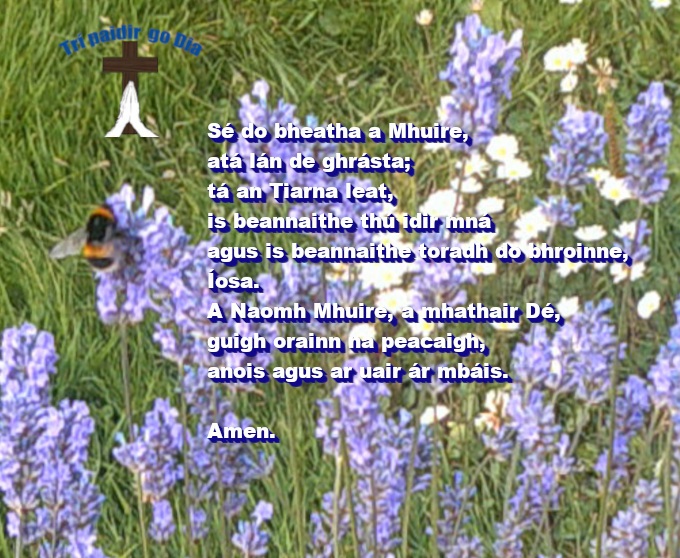 Bee and lavender image with Hail Mary text.