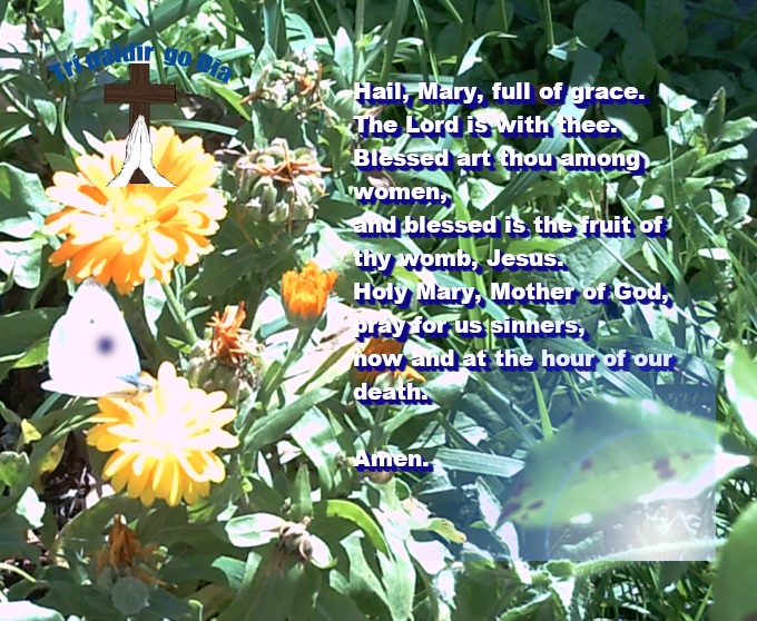 Garden and flowers image with Hail Mary prayer.