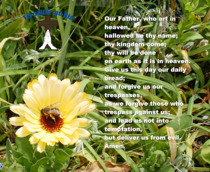 Image of bee on flower in garden with prayer text.